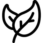 Zioła